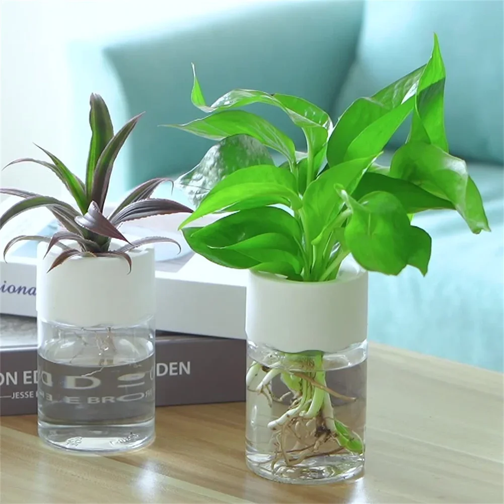 Mini Hydroponic Flower Pot Tra - Aloe Vera Pot ulasan dan harga