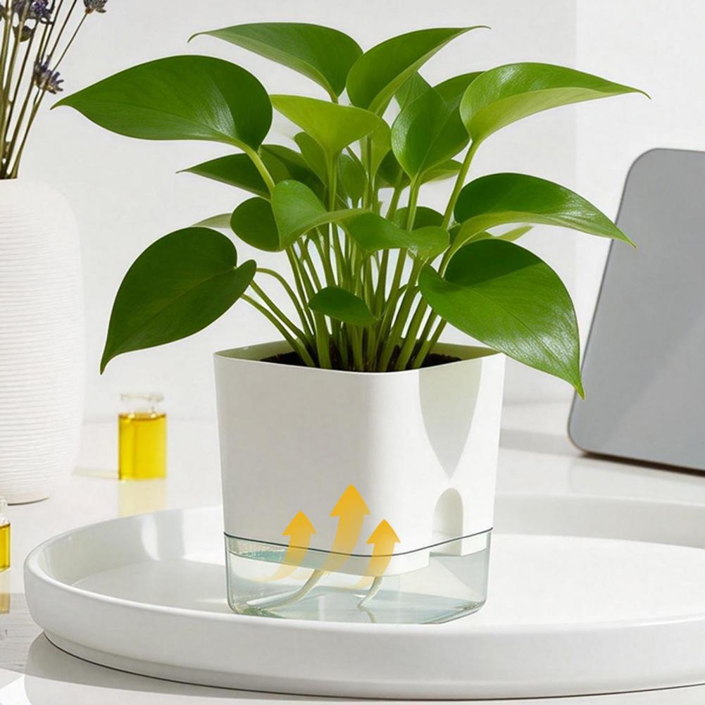 Automatic Watering Flower Pots - Aloe Vera Pot ulasan dan harga