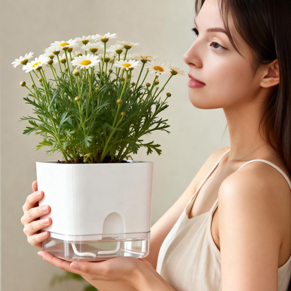 Automatic Watering Flower Pots - Aloe Vera Pot ulasan dan harga