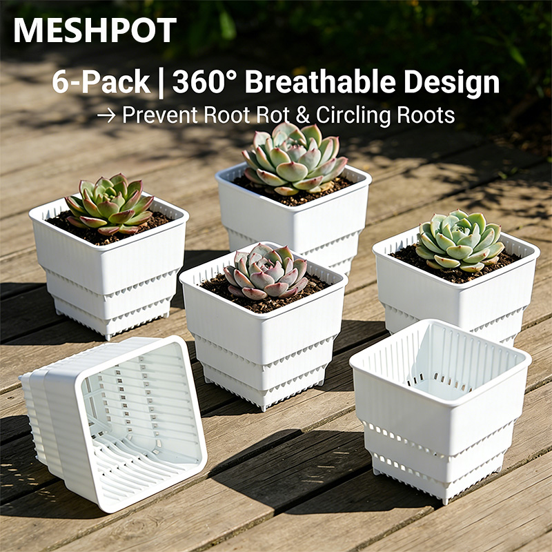 MESHPOT 6-Pack Square Pots for - Echeveria Succulent ulasan dan harga