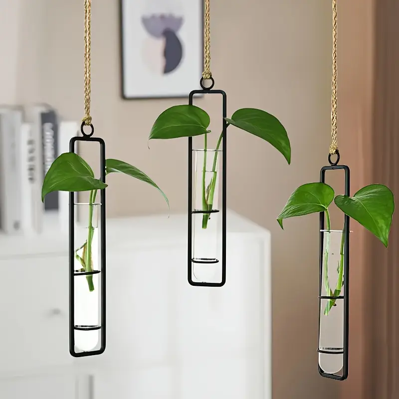 1Pc Fashionable Metal Pointed  - Aloe Vera Pot ulasan dan harga